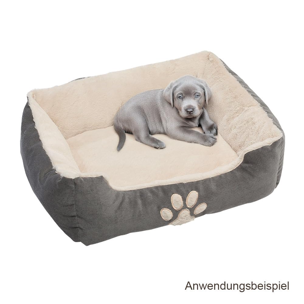 Petnic - Hundebett ca. 60x48x18 cm - Beige - Plüsch flauschig mit Rand weich für kleine bis mittelgroße Hunde Katzenbett Hundekissen Haustierbett eckig ca. 60x50 cm - Murago