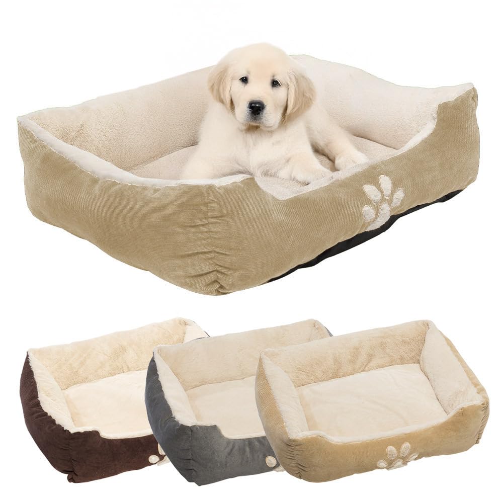Transform Your Pet's Comfort and Happiness Today!