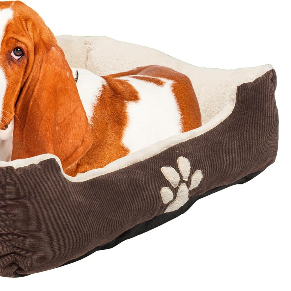 Petnic - Hundebett ca. 60x48x18 cm - Beige - Plüsch flauschig mit Rand weich für kleine bis mittelgroße Hunde Katzenbett Hundekissen Haustierbett eckig ca. 60x50 cm - Murago
