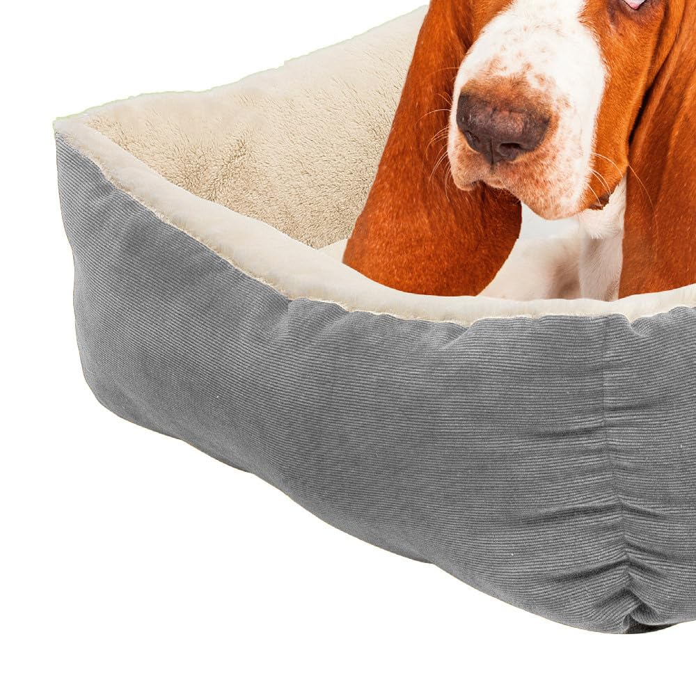 Petnic - Hundebett ca. 60x48x18 cm - Beige - Plüsch flauschig mit Rand weich für kleine bis mittelgroße Hunde Katzenbett Hundekissen Haustierbett eckig ca. 60x50 cm - Murago